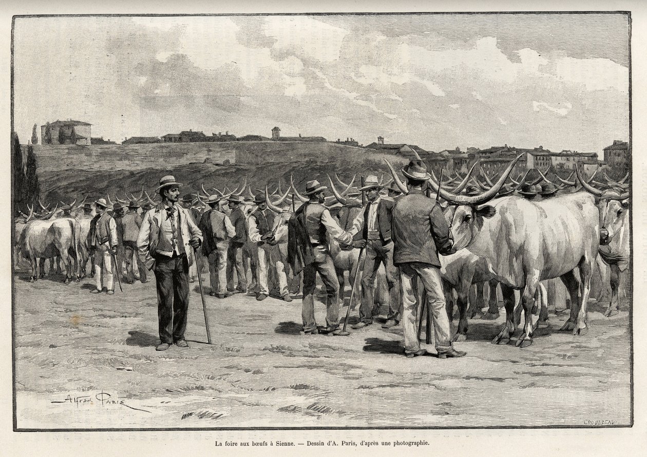 锡耶纳（意大利）的牛肉市场。泰勒为尤金-蒙茨（1845-1902）的故事《穿越托斯卡纳》绘制的版画，载于《世界之旅》1892年，由爱德华-沙尔东（1807-1891）导演，巴黎哈谢特出版社。 作者 泰勒