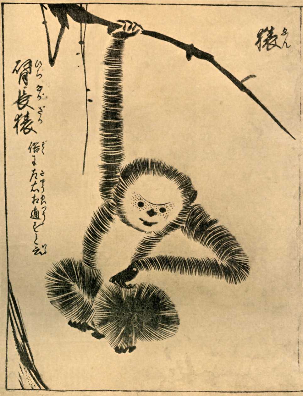 猴子，1720，1924。 作者 立花守国