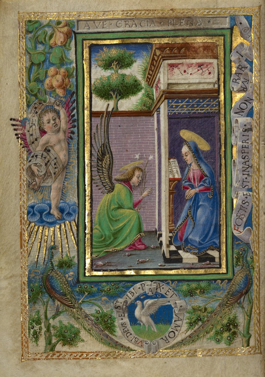 报喜 作者 塔迪奥·克里维利（Taddeo Crivelli）