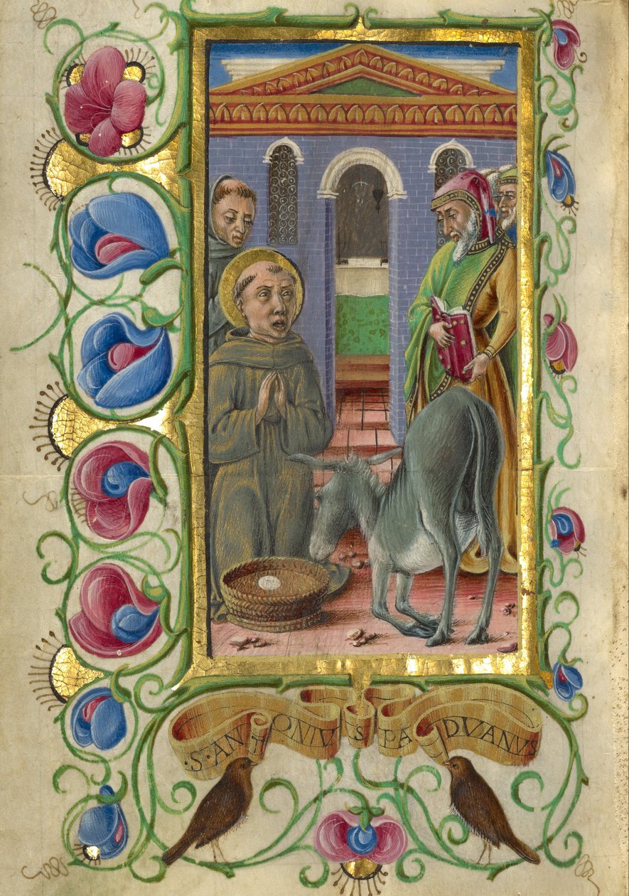 帕多瓦Antohny爵士 作者 塔迪奥·克里维利（Taddeo Crivelli）