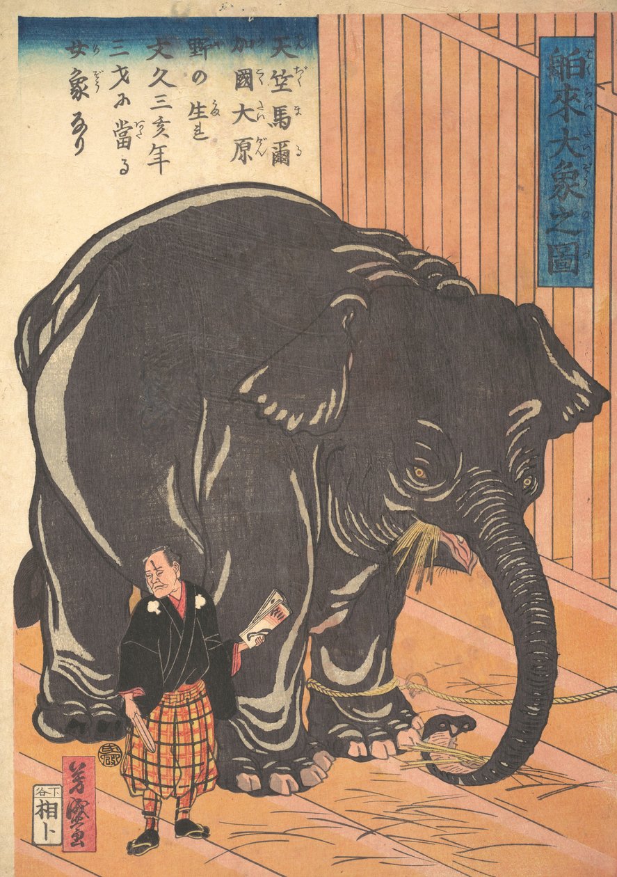大型进口象的视图，1863年文京3号，第四个月。 作者 田口义森
