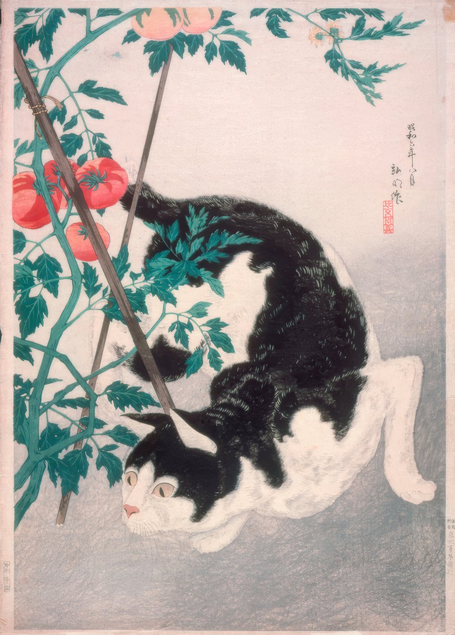 Katze mit Tomatenpflanze 作者 高桥弘明
