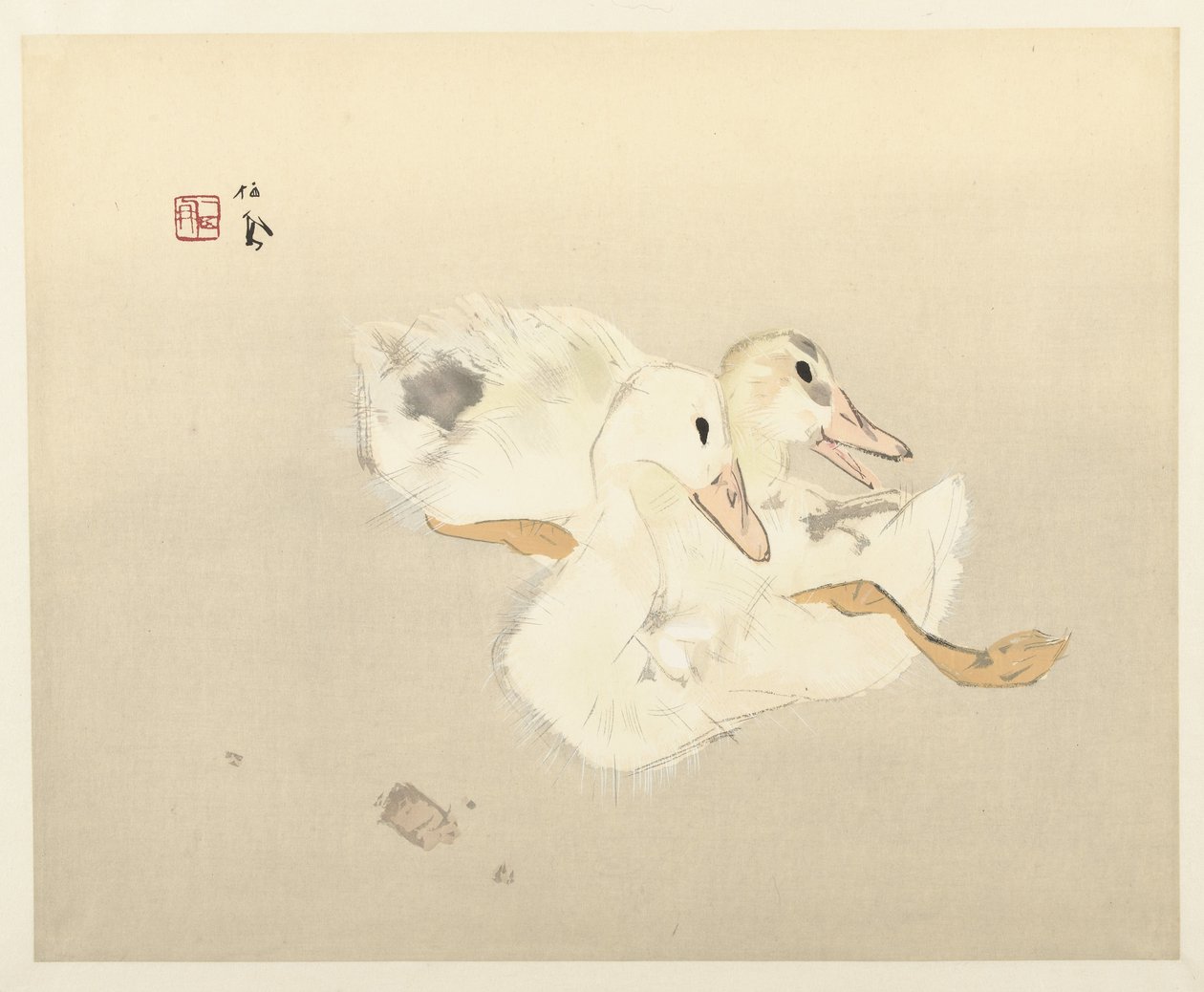 年轻的鸭子 作者 竹内诚帆