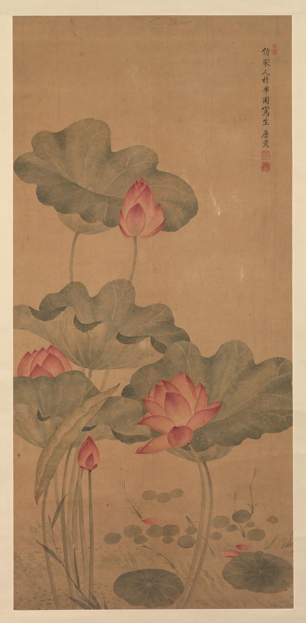 红莲和鱼。 作者 唐光
