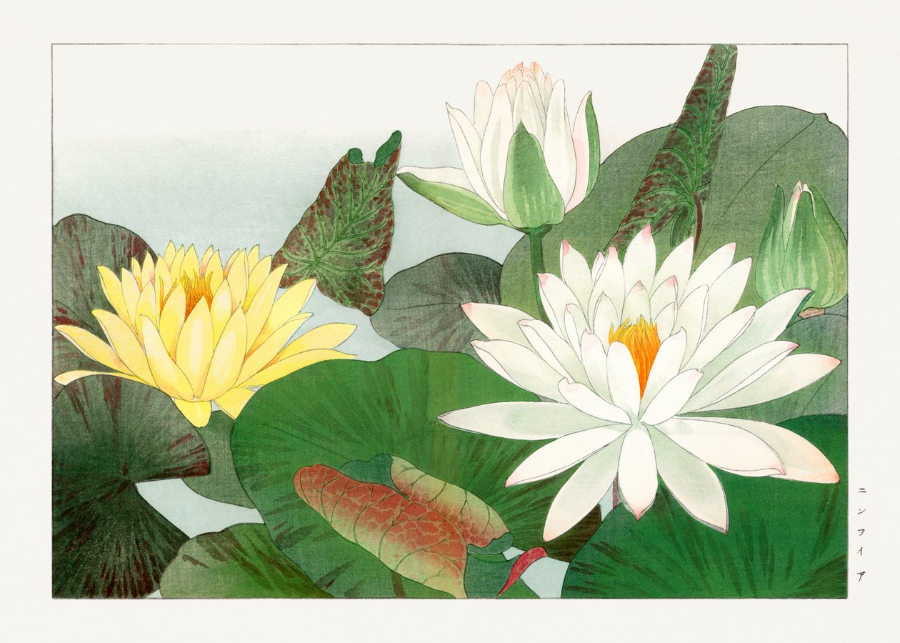 圣友所和府》中的莲花 作者 谷上港南