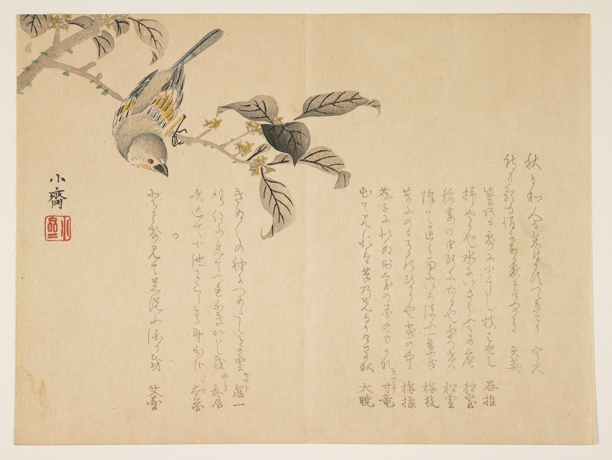 鸟在树枝上（彩色木版画） 作者 田村斋