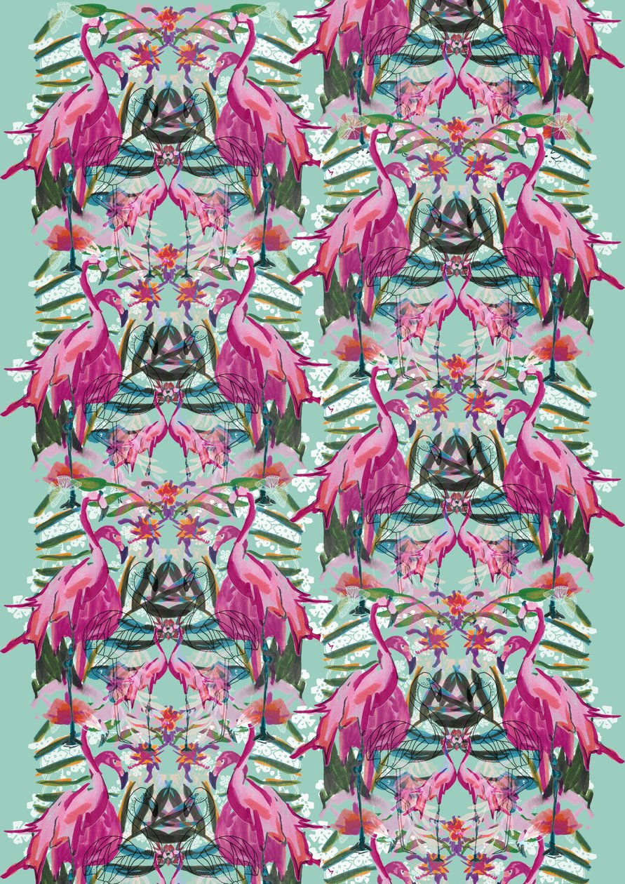 Flora Flamingo 作者 塔拉·怀特海（Tara Whitehead）