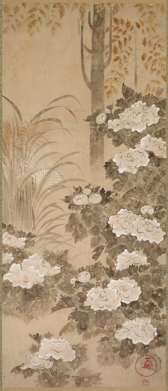 牡丹 作者 馆林景