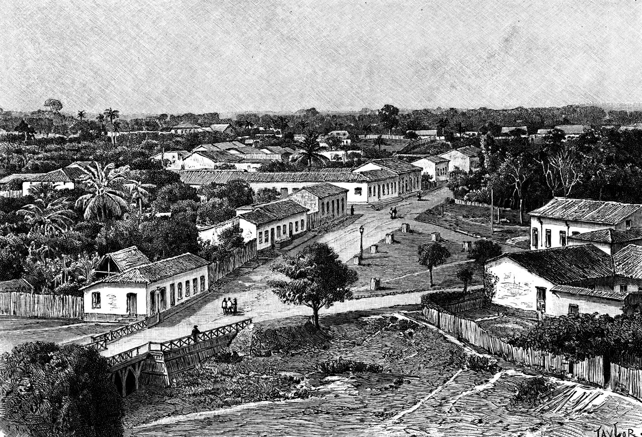 巴西，马纳奥斯，1895年。 作者 泰勒