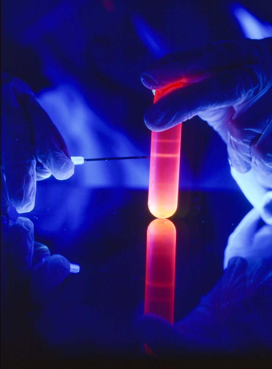 从塑料离心管中提取 RNA 的核苷酸。 作者 特德·斯皮格尔
