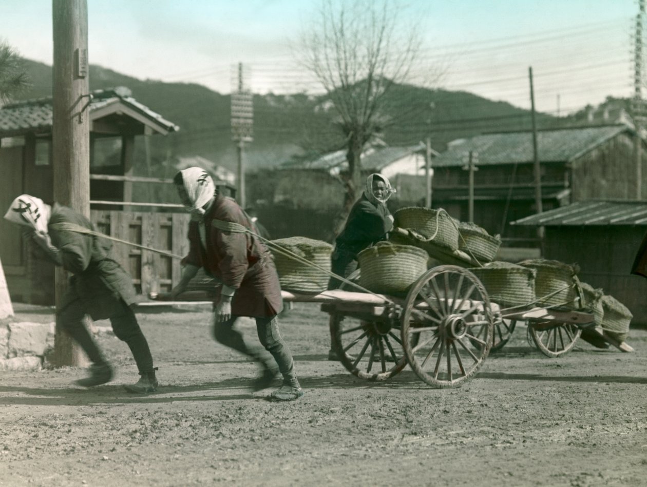 日本农民用手推车拉米袋，约 1900 - 1915 年（照片） 作者 