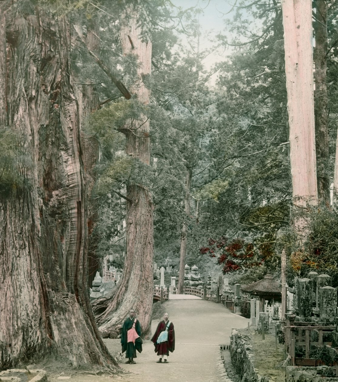 约 1900 - 1915 年，山本高野山上的奥野院墓地（照片） 作者 