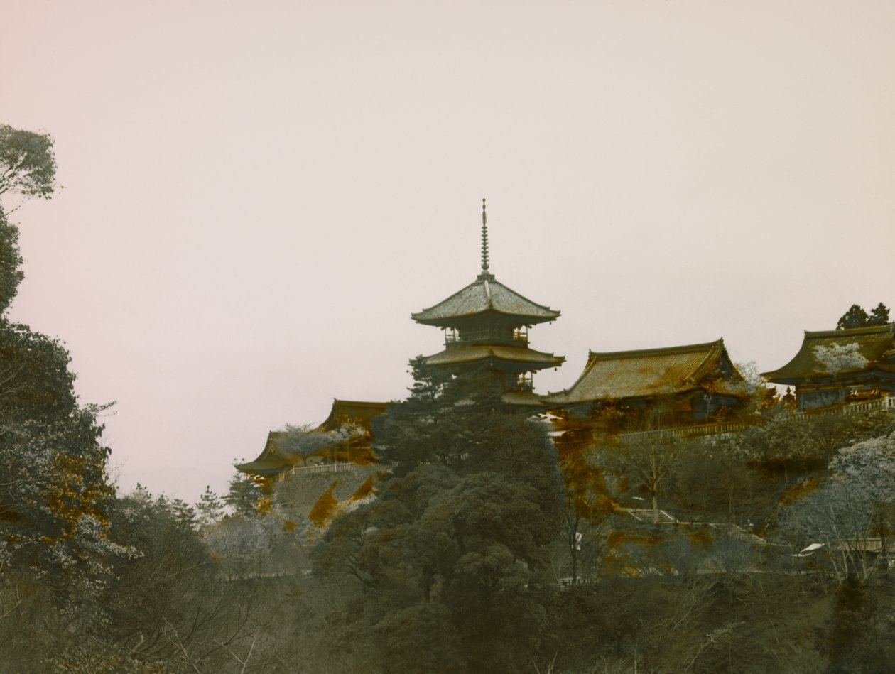  作者 