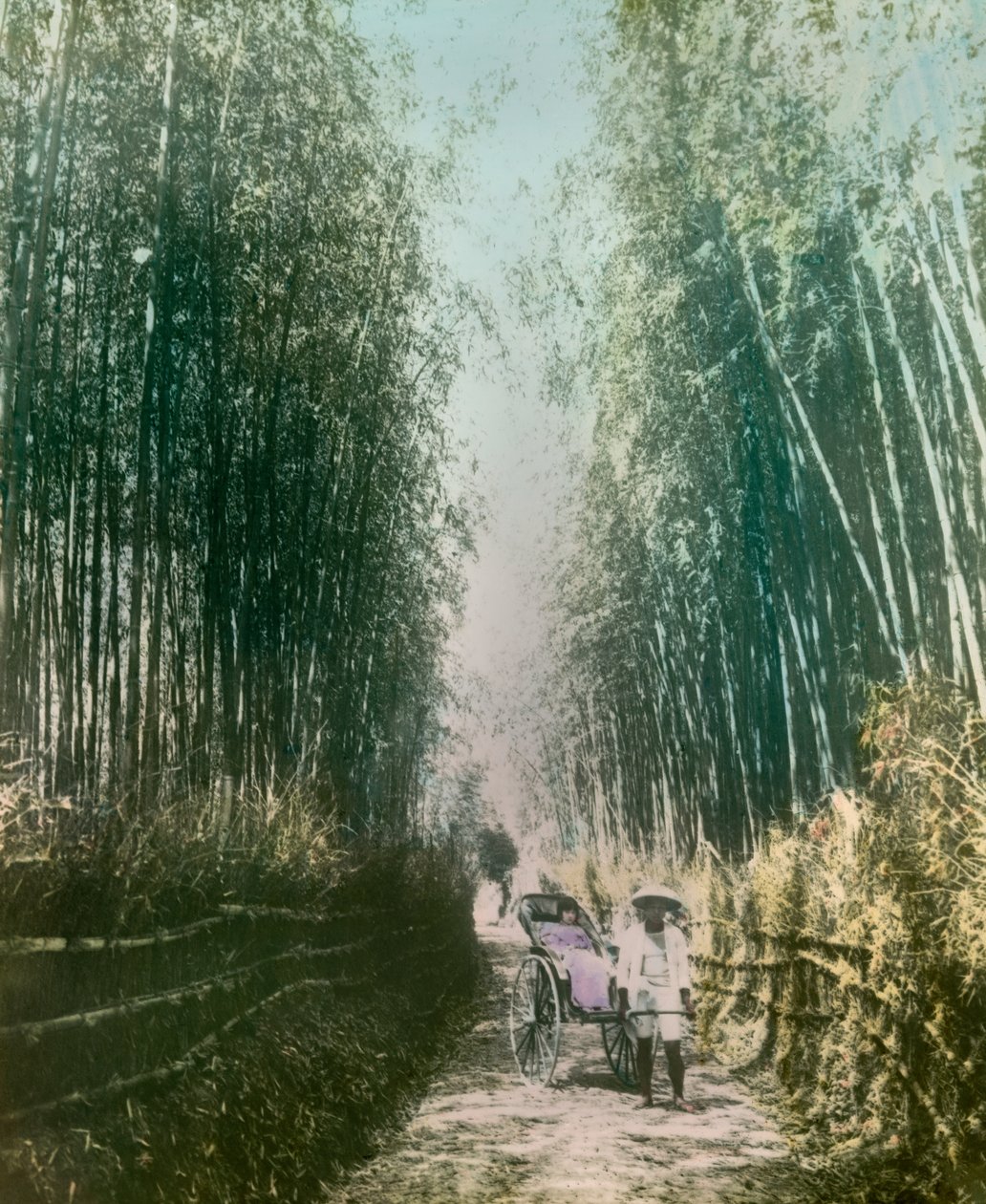  作者 