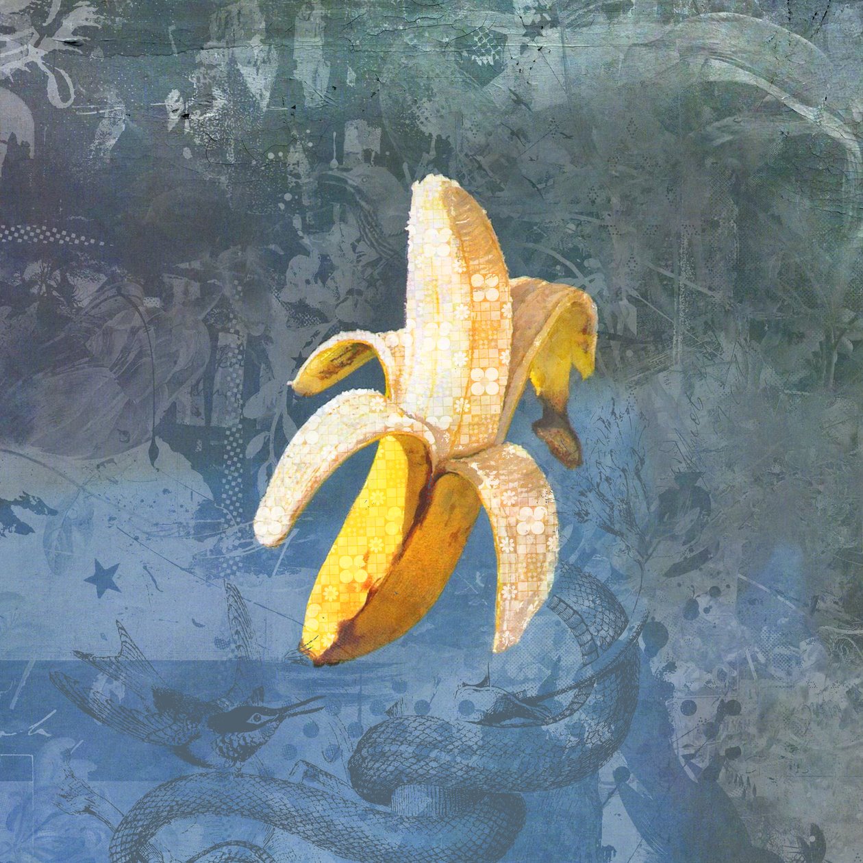 香蕉，2015（布面拼贴） 作者 泰斯·阿尔伯斯
