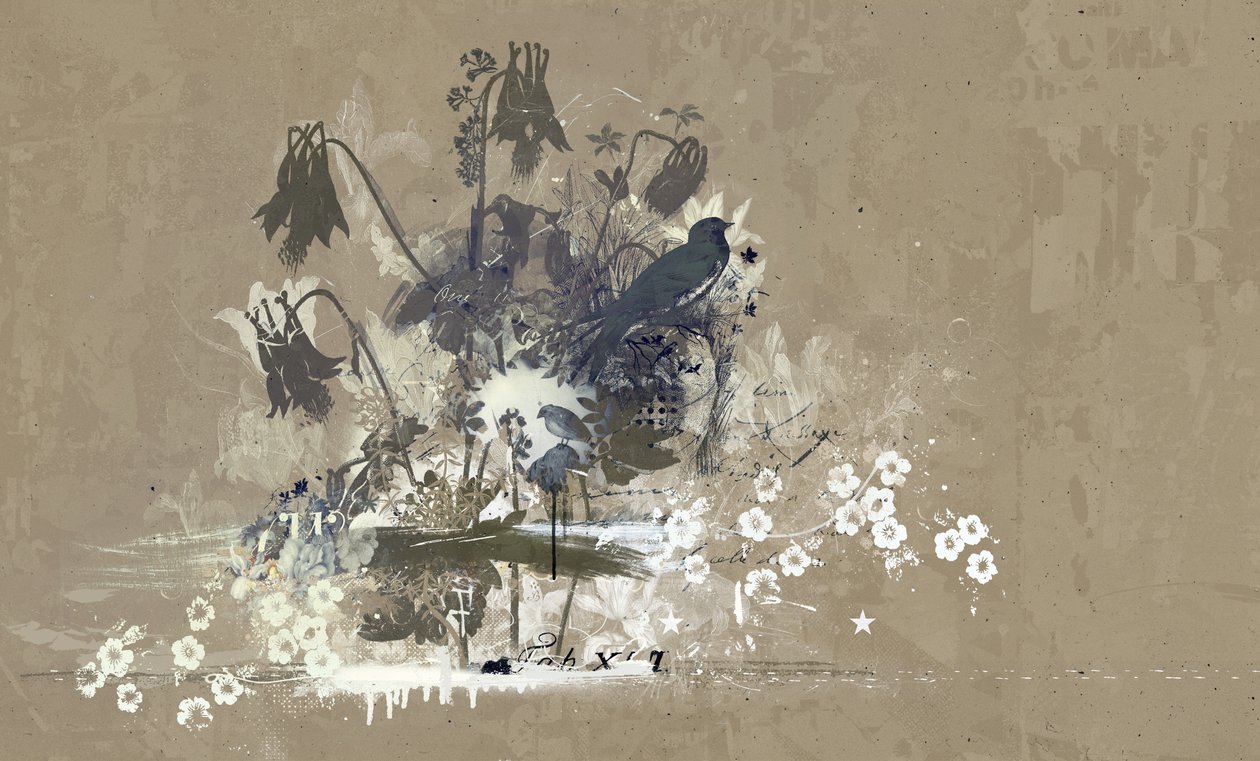 鸟儿花束，2015（帆布拼贴画） 作者 泰斯·阿尔伯斯