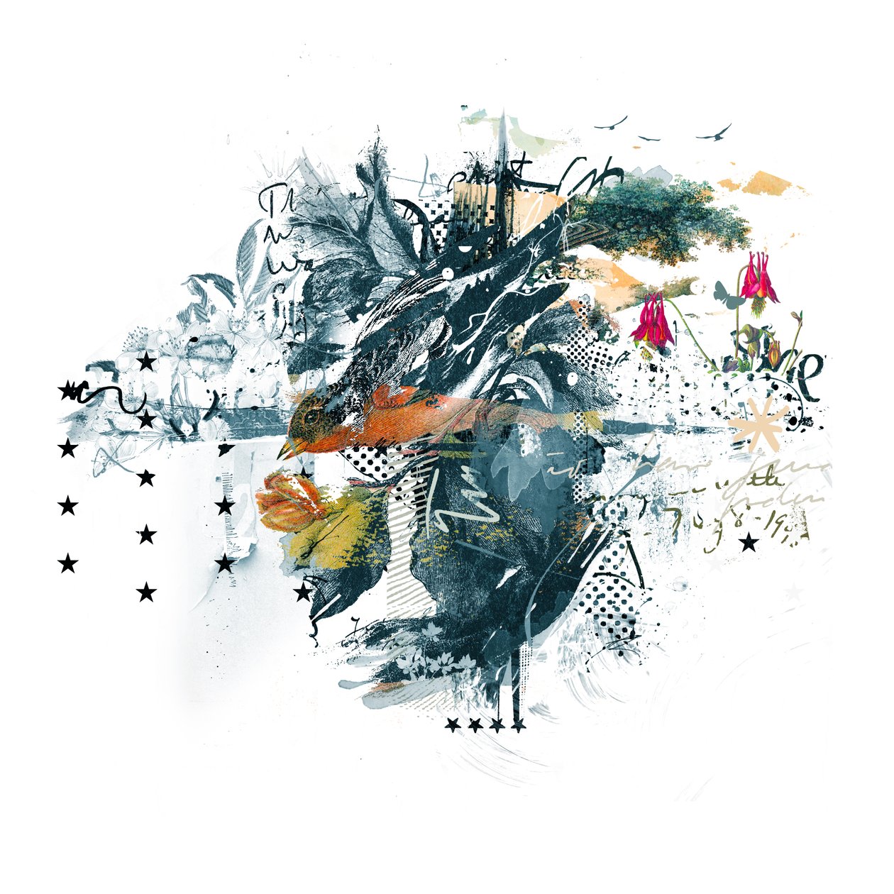 猛禽，2015（布面拼贴） 作者 泰斯·阿尔伯斯