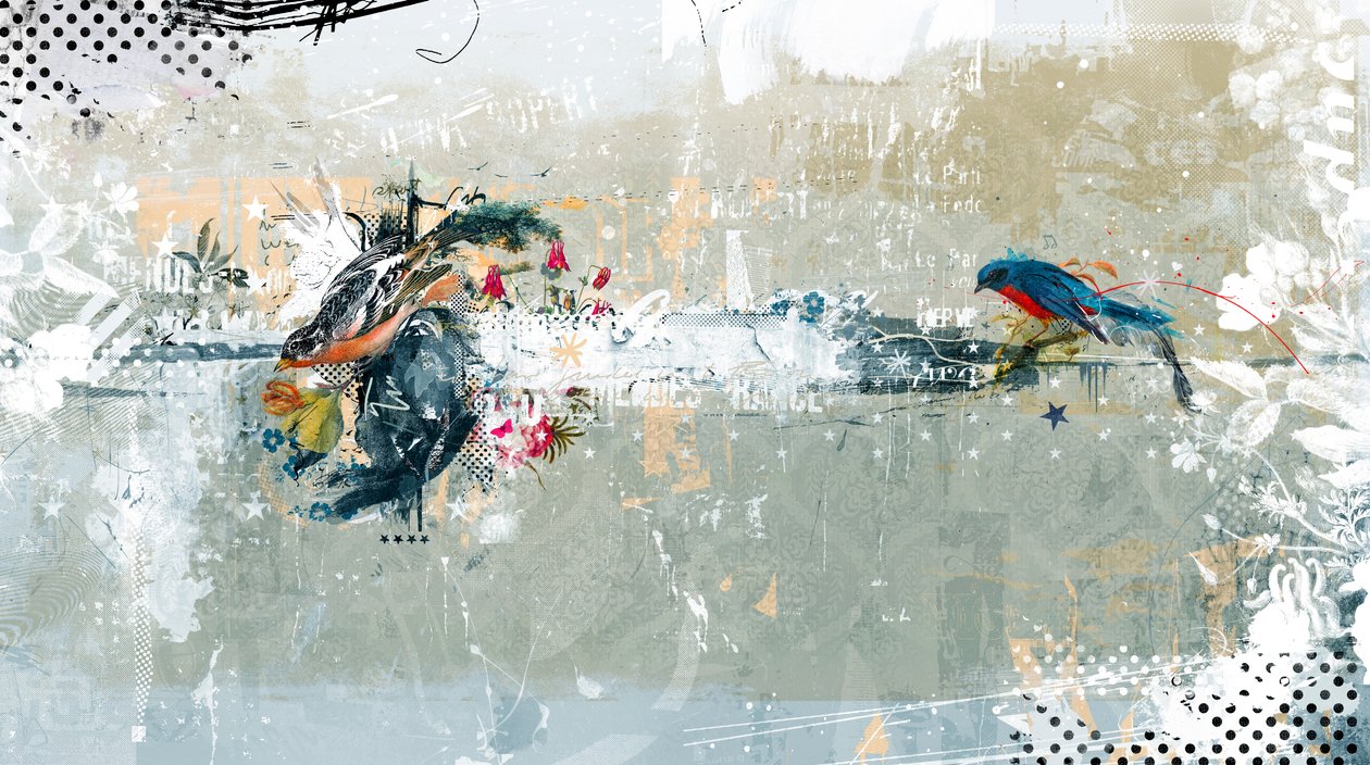 Birdalicious，2014（布面拼贴） 作者 泰斯·阿尔伯斯