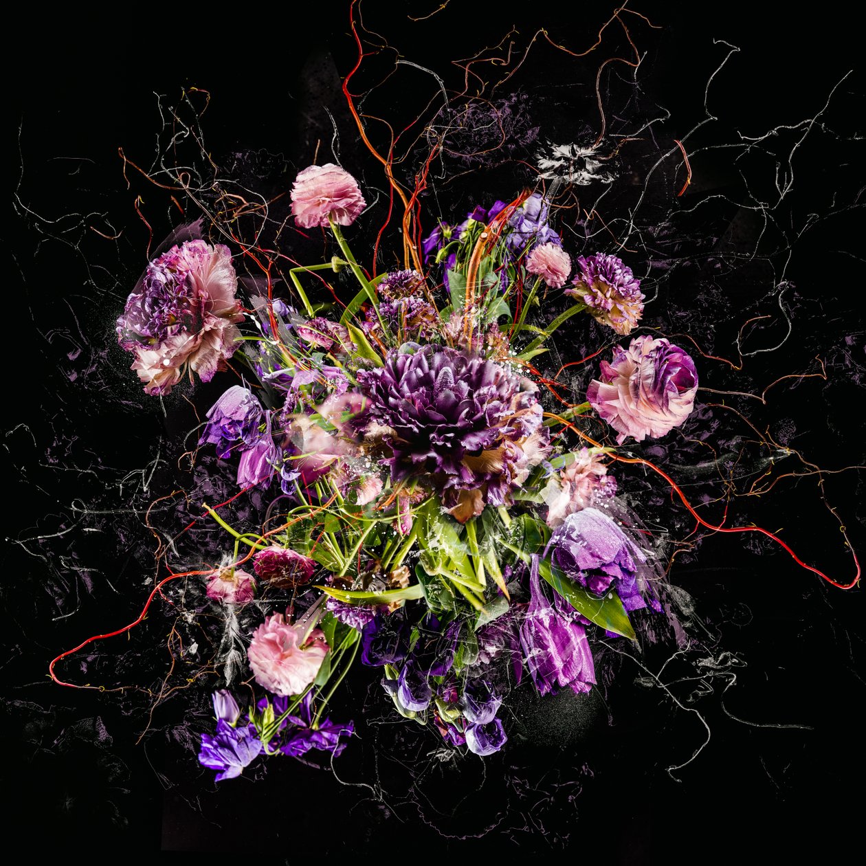 花束四号，2017 年（照片） 作者 泰斯·阿尔伯斯
