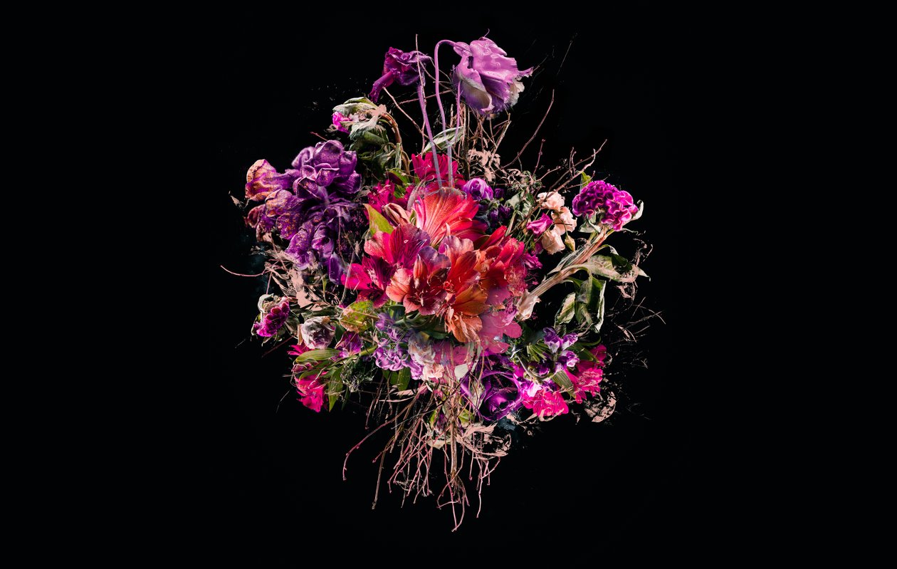 Bouquet VIIII，2018 年（照片） 作者 泰斯·阿尔伯斯