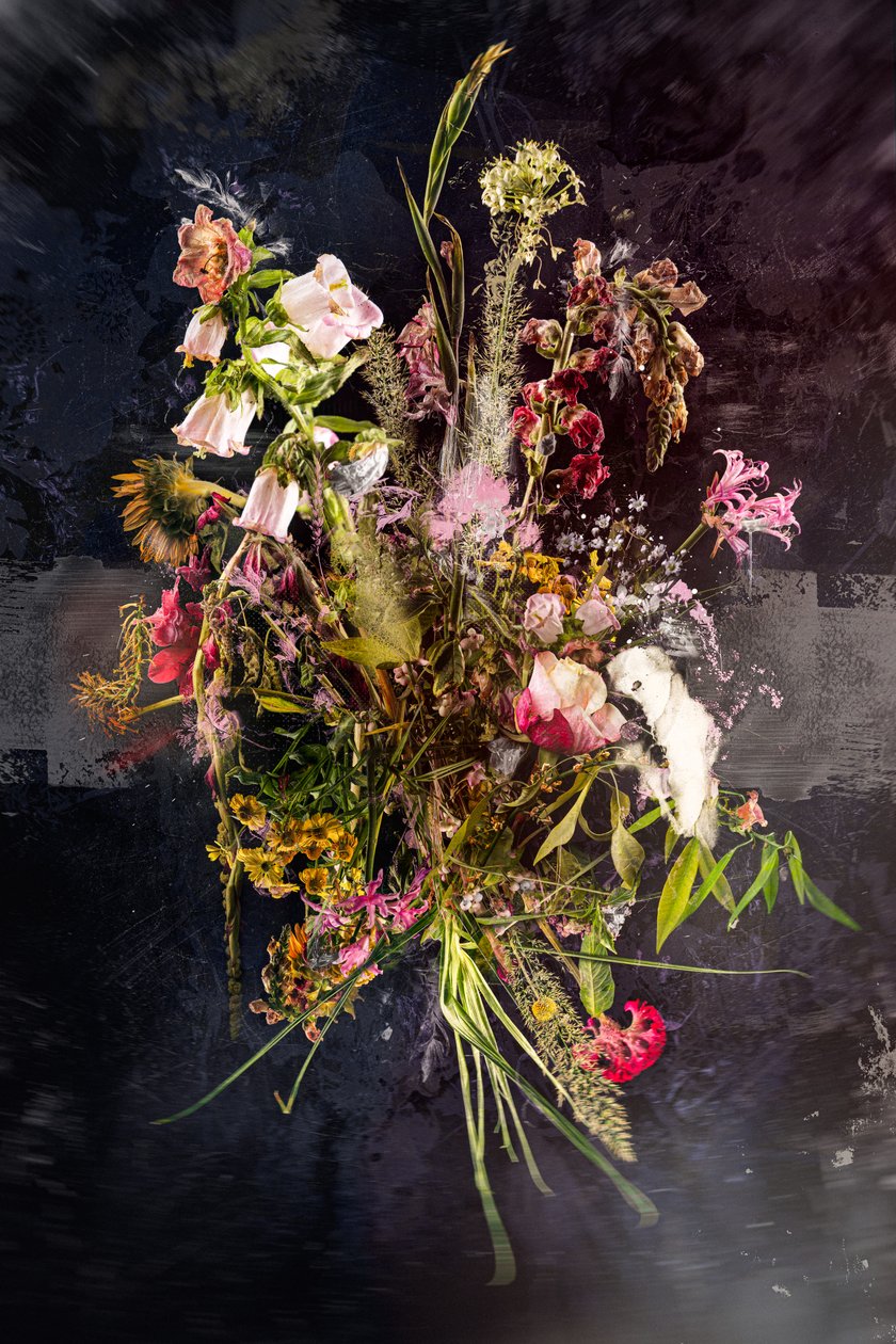 花束 XXVIII，2019 年（照片） 作者 泰斯·阿尔伯斯