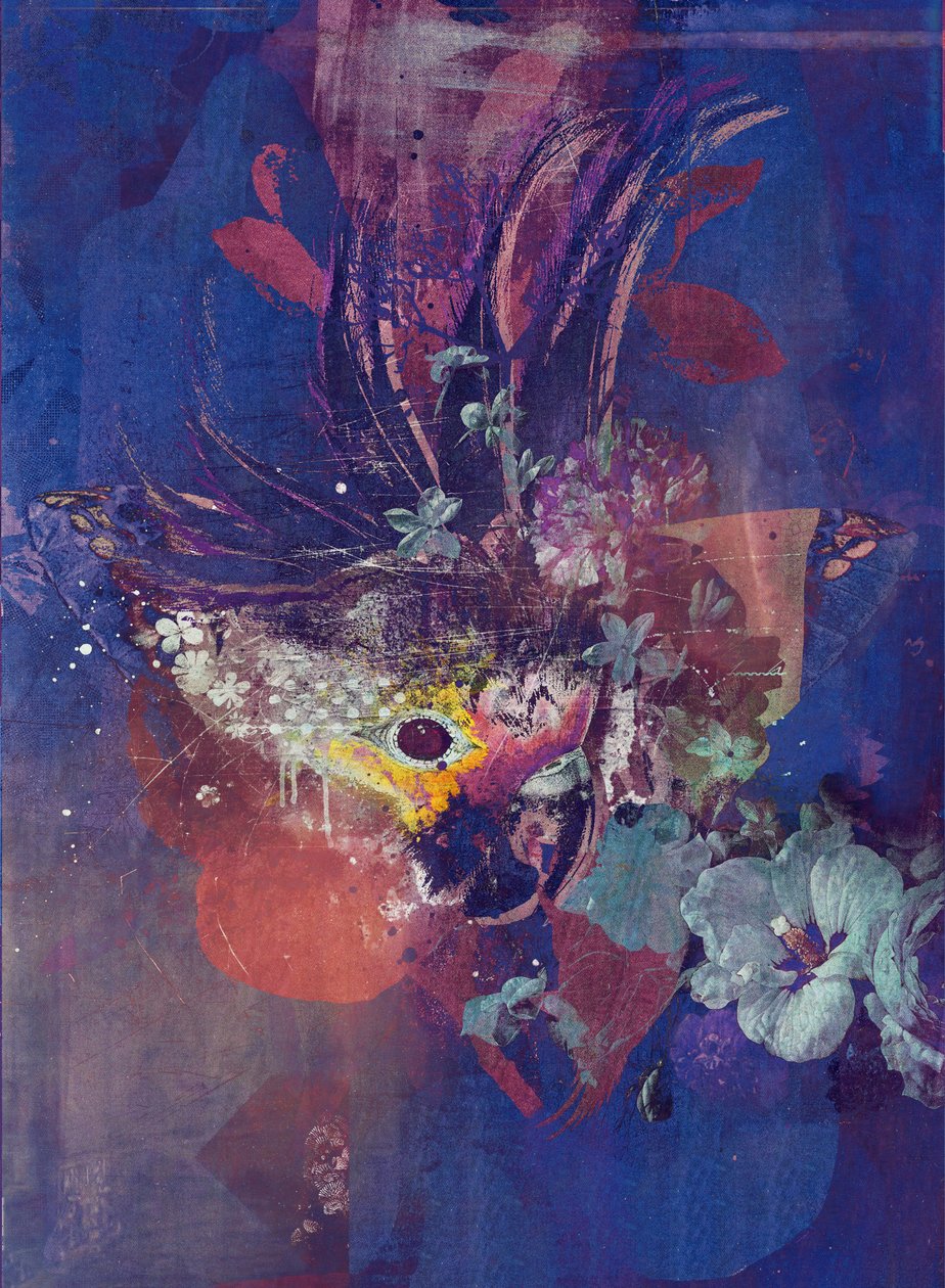 孔雀，2016（布面拼贴画） 作者 泰斯·阿尔伯斯