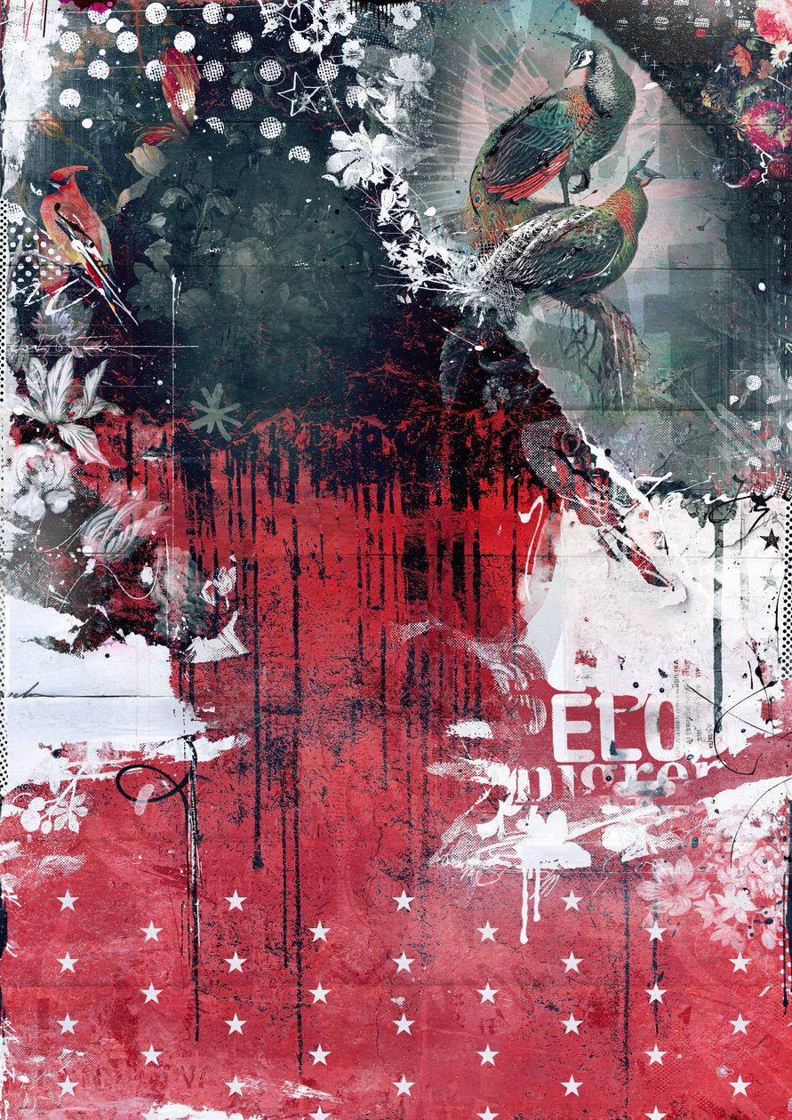树上的孔雀，2016（布面拼贴） 作者 泰斯·阿尔伯斯
