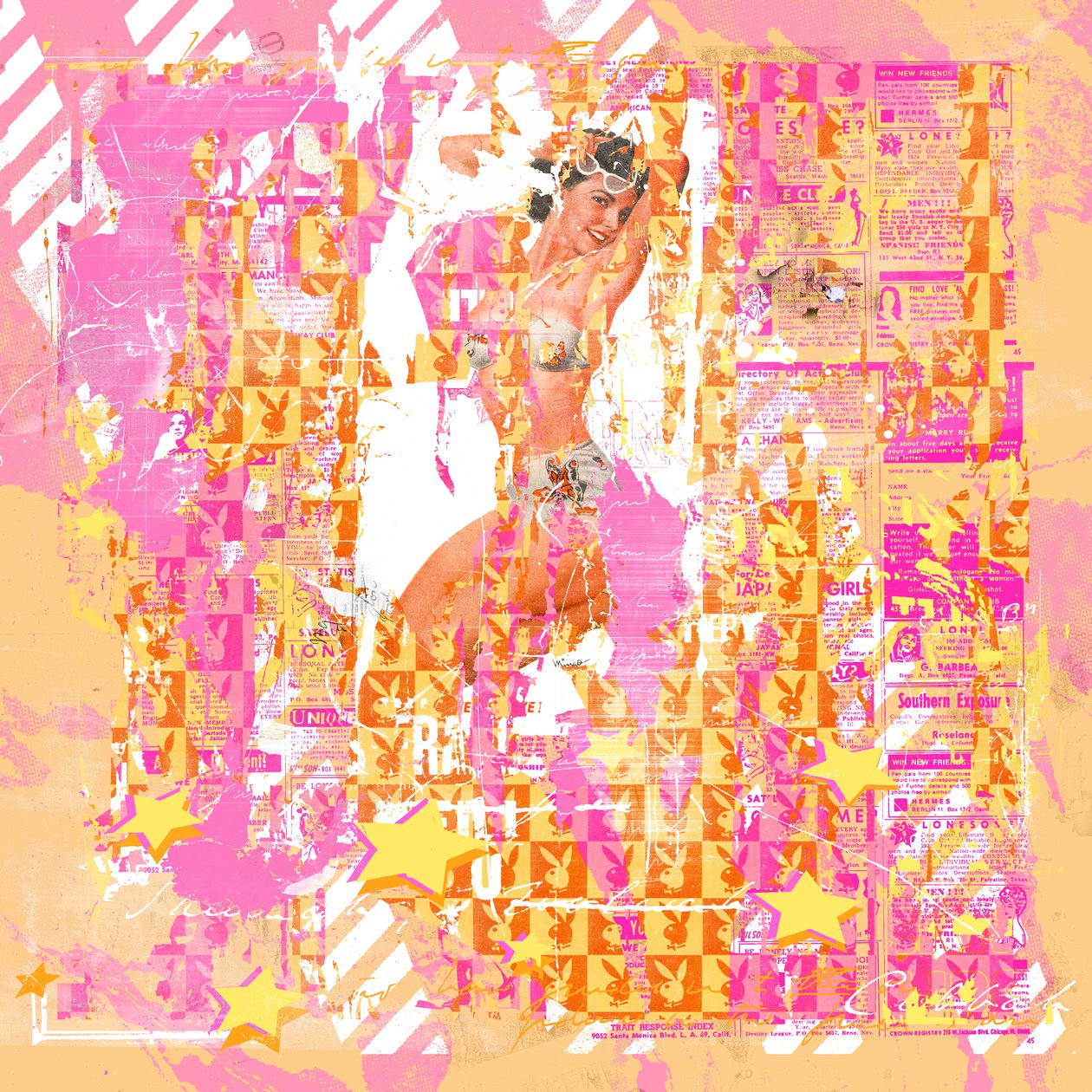 Pinup2, 2014（混合媒介画布） 作者 泰斯·阿尔伯斯