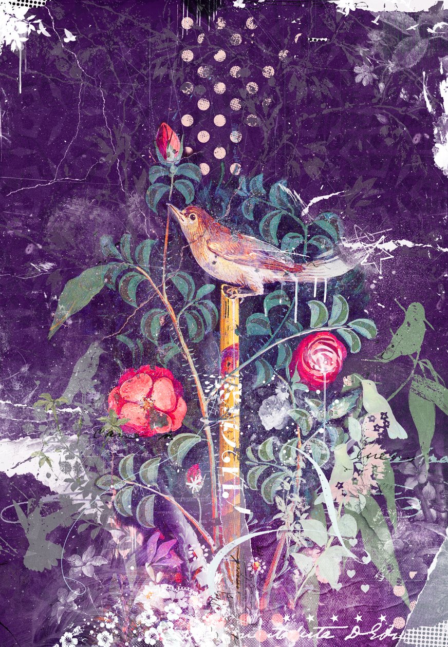 庞贝鸟，2014 年（混合媒介画布） 作者 泰斯·阿尔伯斯