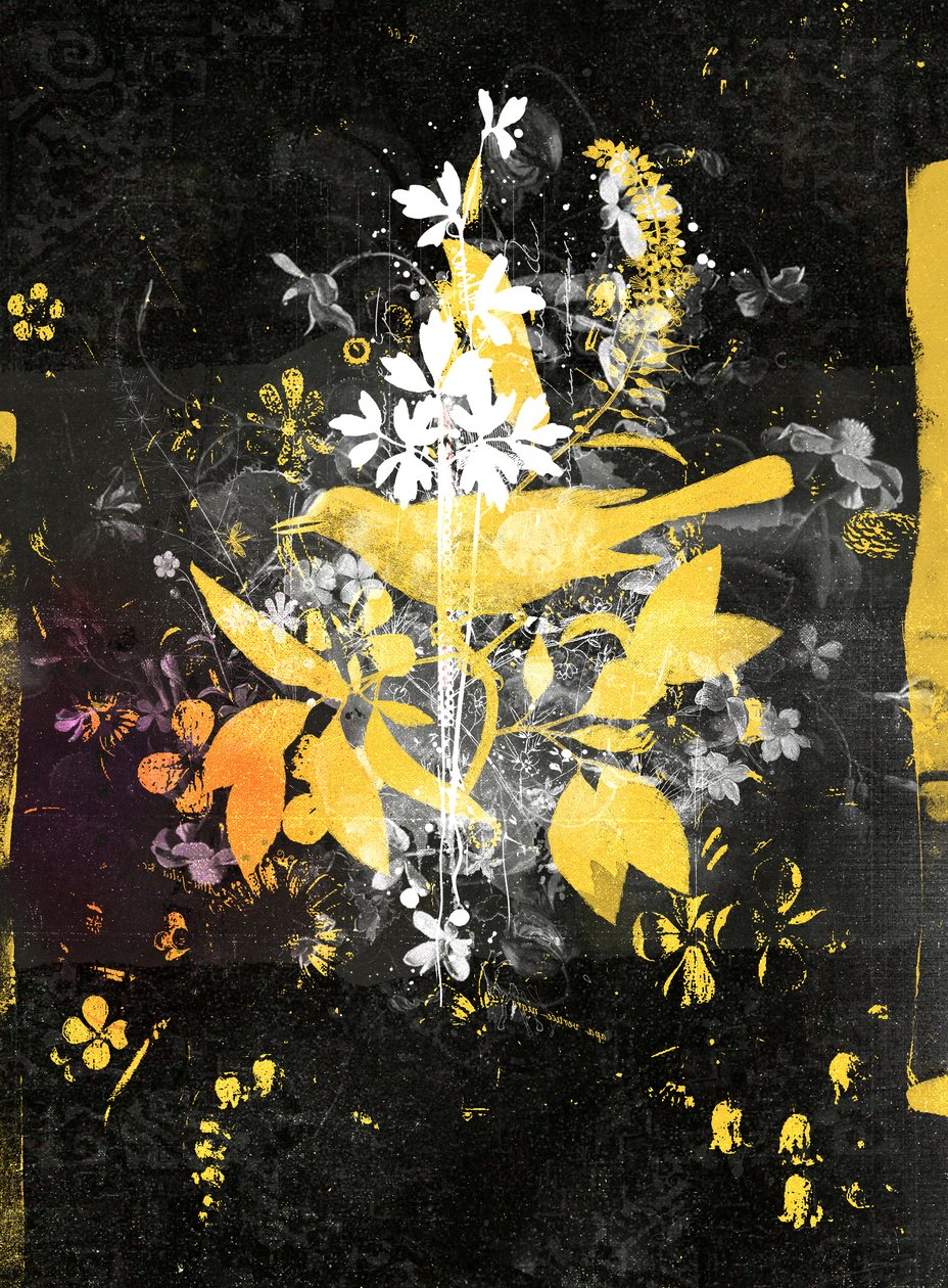 崛起！》，2015 年（混合媒介画布） 作者 泰斯·阿尔伯斯