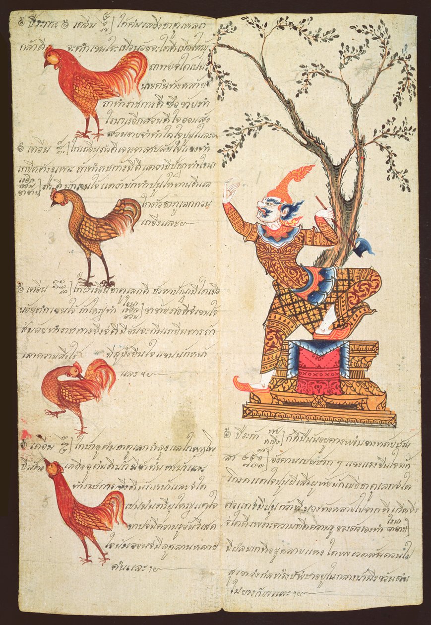 CBL Thi 1302两页展示了公鸡年，来自算命手册，第1840页（钢笔和水墨纸和koui纸上的水粉） 作者 泰国学校