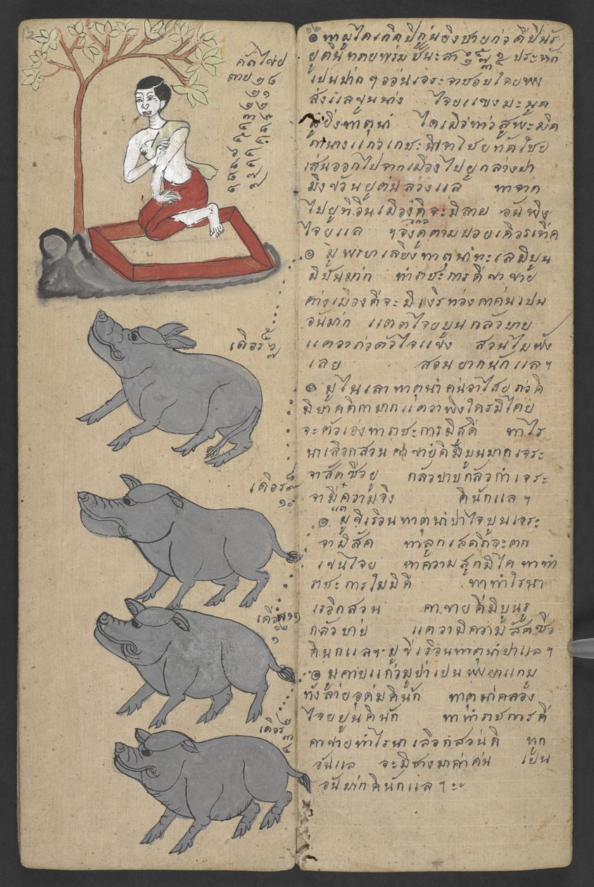 或 16455 f.13r，黄道十二宫中的动物，选自 Phrommachat（羊皮纸）。 作者 泰国学校