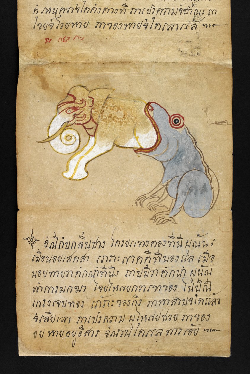 或16482， f.12 青蛙吃大象，选自《萨特拉》 关于算命和健康快乐生活的建议（折纸书） 作者 泰国学校