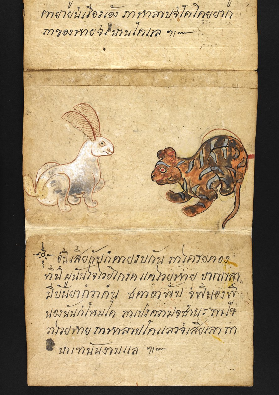 或16482，f.56 "萨特拉 "关于算命和健康快乐生活的建议（折纸书） 作者 泰国学校