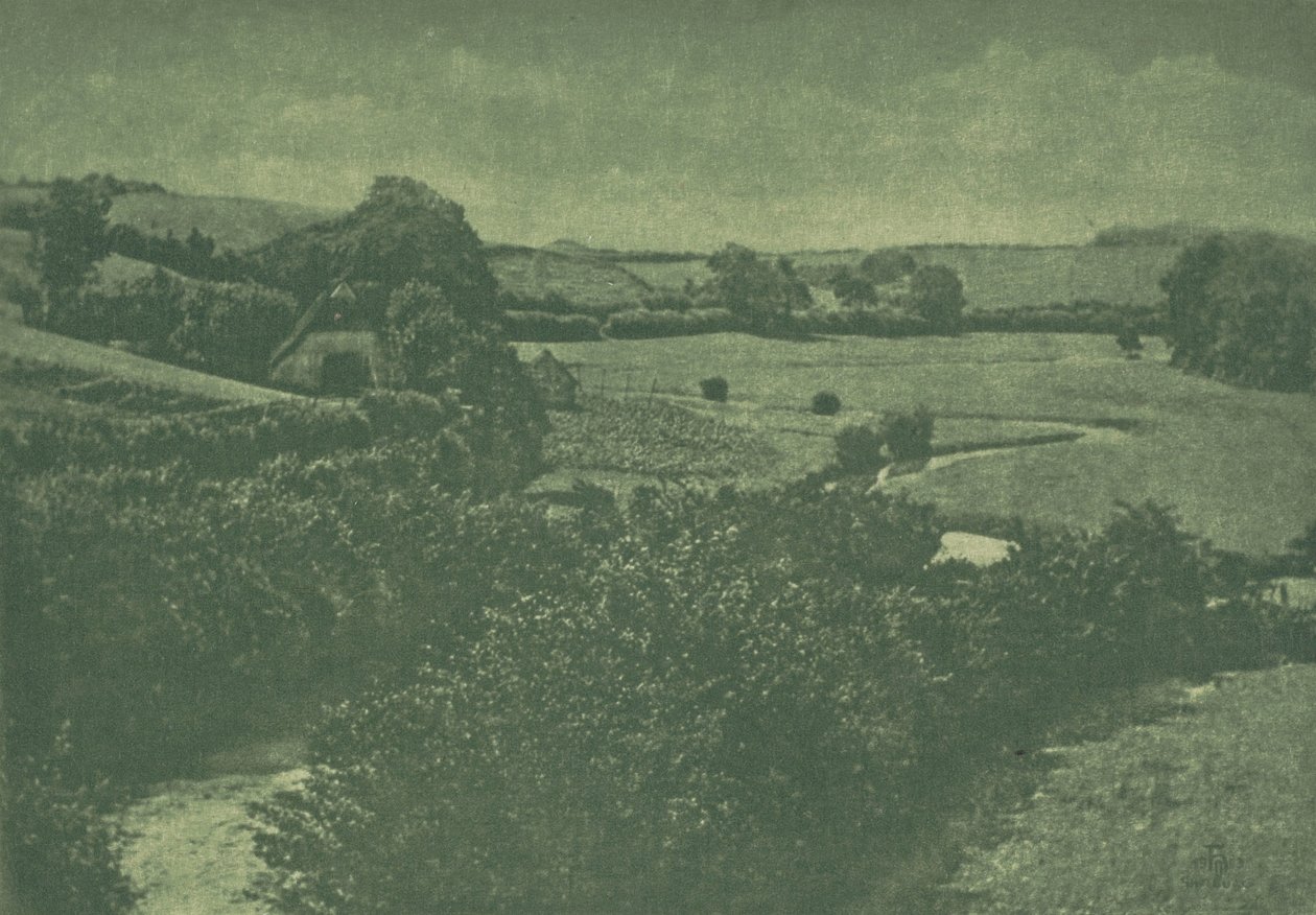 摄影作品：Meadow-brook，1904年。 作者 西奥多·霍夫迈斯特