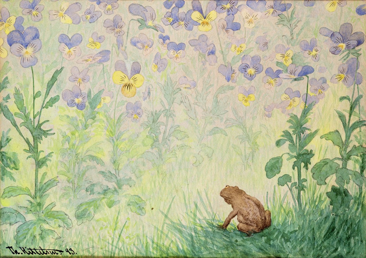 奇数 作者 西奥多·基特尔森