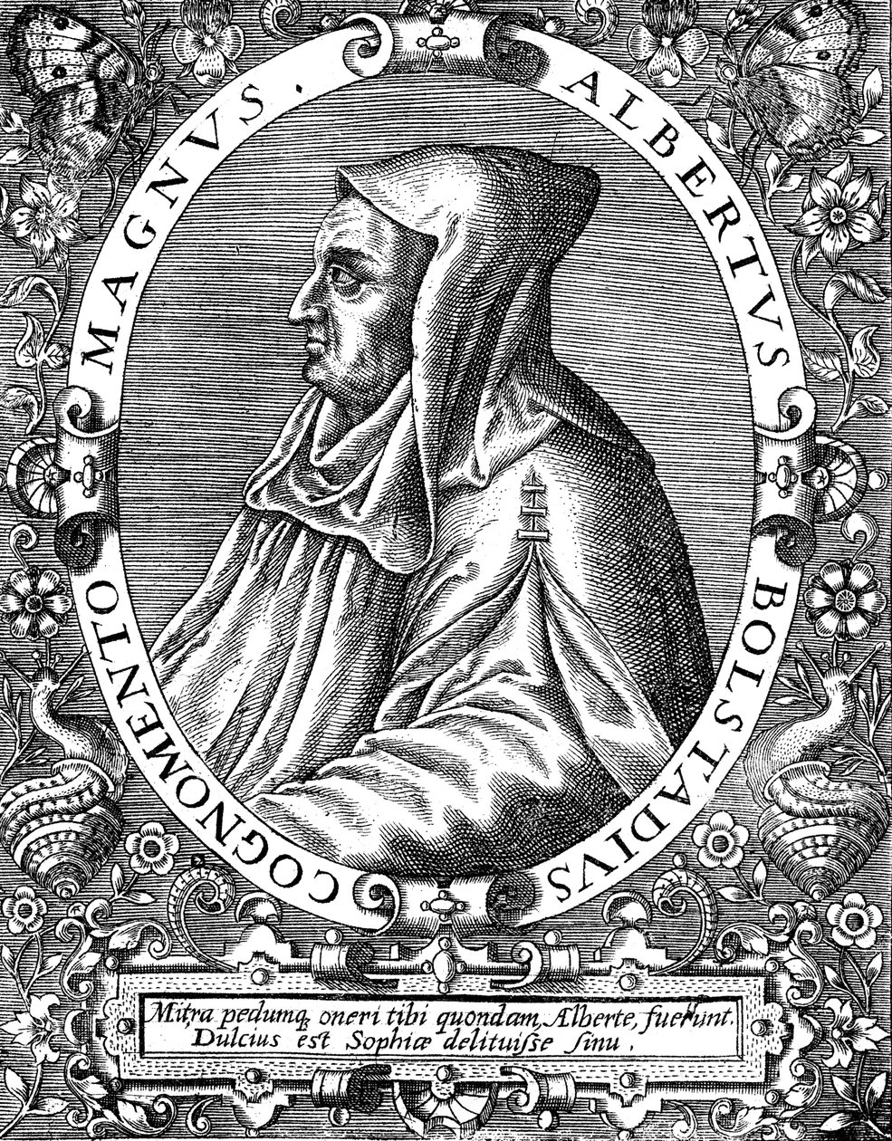艾伯特·马格努斯（Albertus Magnus）C1200-1280 16世纪末德国出生的多米尼加男修道士 作者 西奥多·德·布赖
