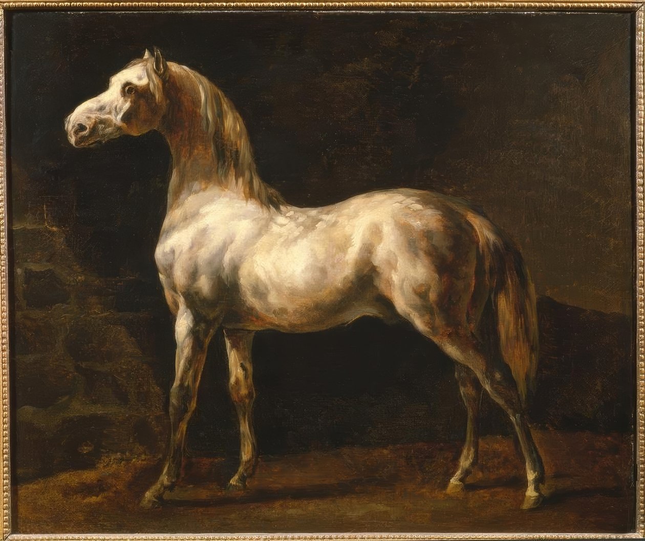 白色种马 作者 西奥多·杰里科（Theodore Gericault）