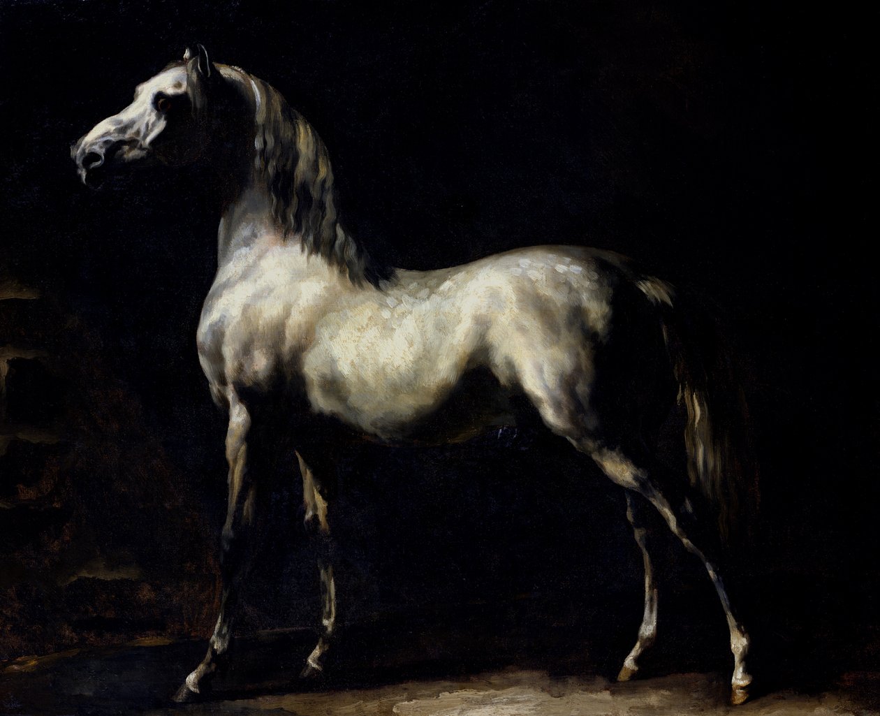 Dapple Gray的研究 作者 西奥多·杰里科（Theodore Gericault）