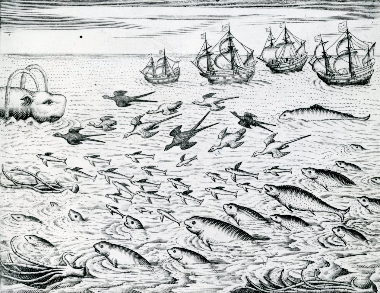 海景，插图来自&39;India Orientalis&39;，1598 作者 西奥多·德布瑞
