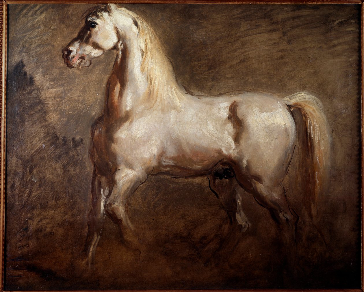 西奥多·夏塞里亚（Theodore Chasseriau）绘画中的左轮廓白马 作者 蒂奥多·切塞留