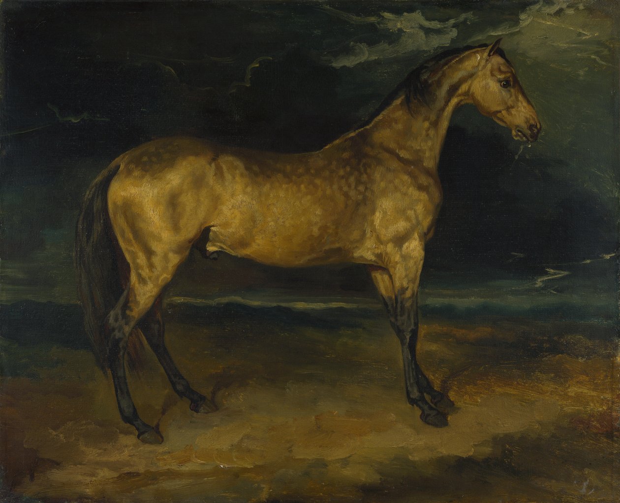 大约1814年，一匹被闪电吓到的马 作者 西奥多·杰里科（Theodore Gericault）