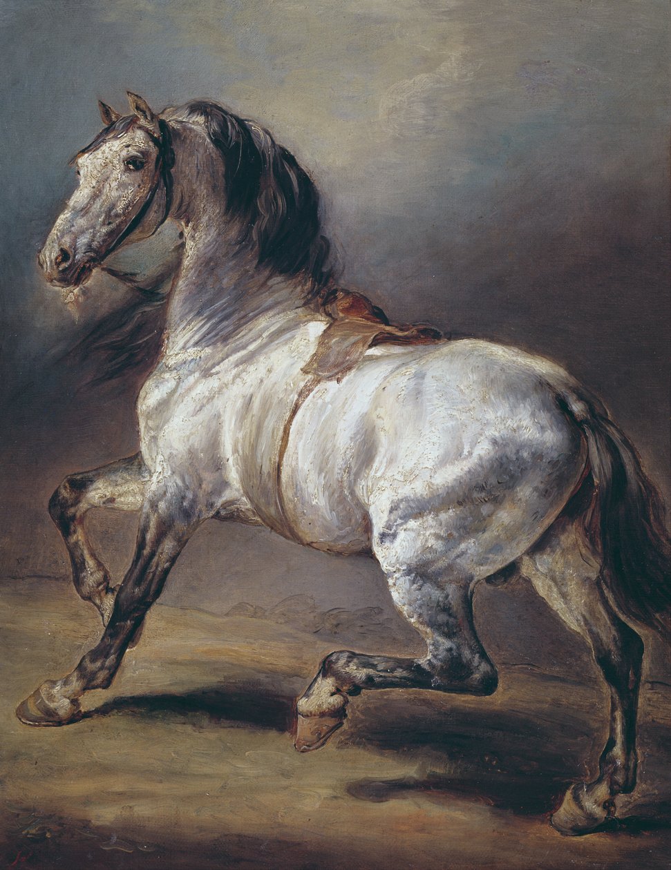 一匹马的研究 作者 西奥多·杰里科（Theodore Gericault）