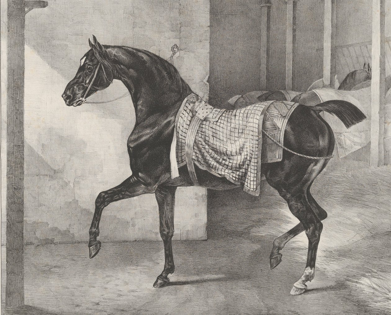 拴在马厩里的黑马，1822年。 作者 西奥多·杰里科（Theodore Gericault）