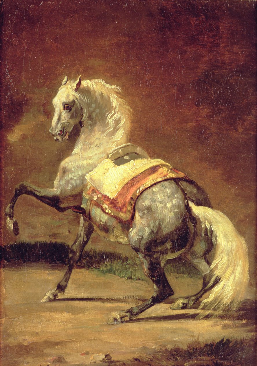 斑驳的灰色马 作者 西奥多·杰里科（Theodore Gericault）