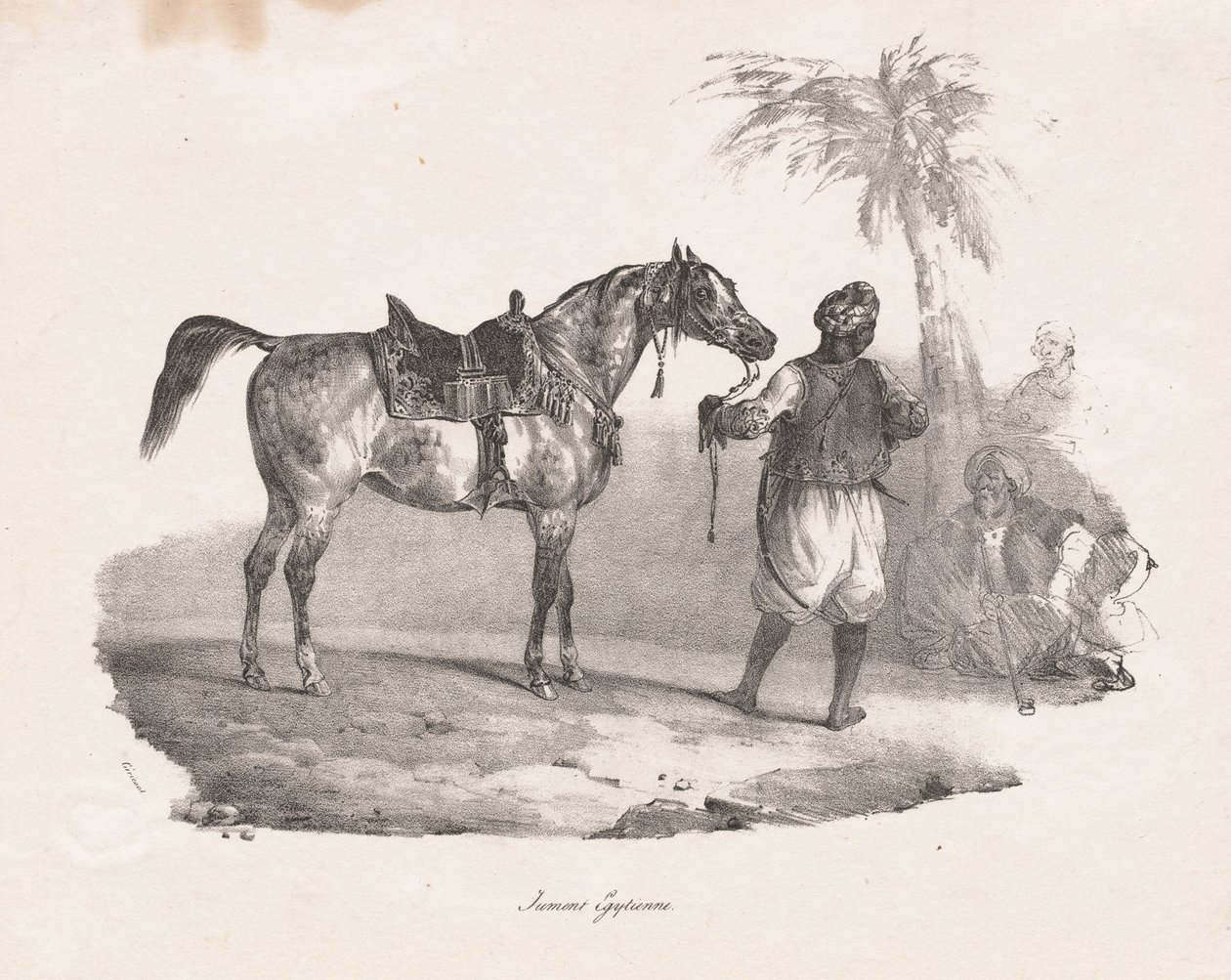 埃及母马 作者 西奥多·杰里科（Theodore Gericault）