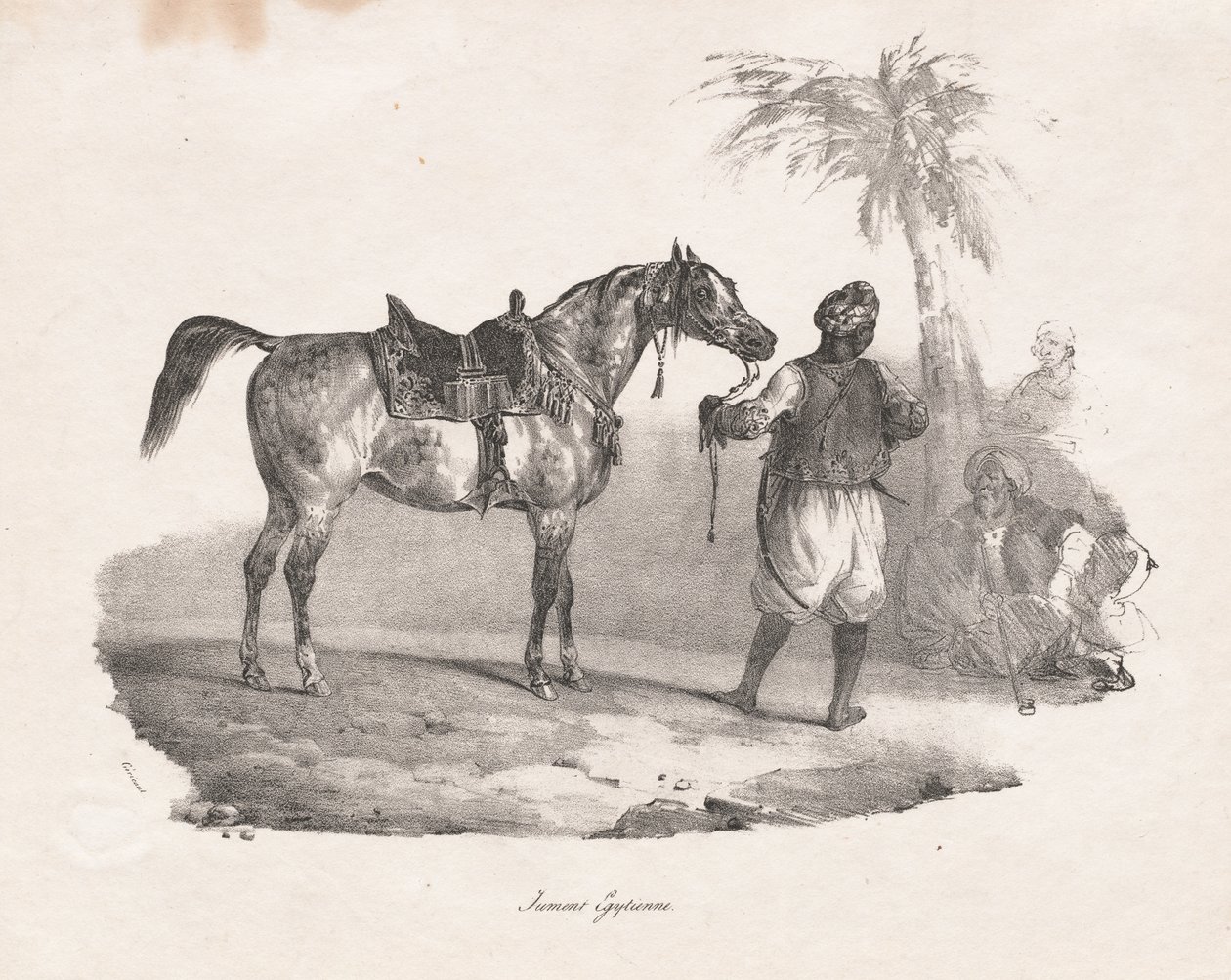 埃及母马，1822年。 作者 西奥多·杰里科（Theodore Gericault）