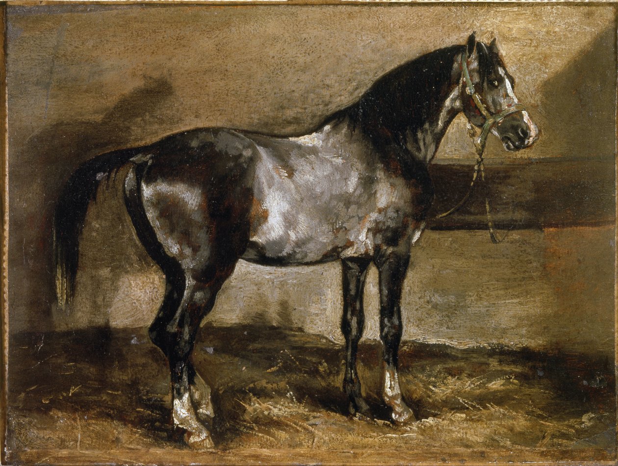 灰马在拉特利耶 - 油画 作者 西奥多·杰里科（Theodore Gericault）