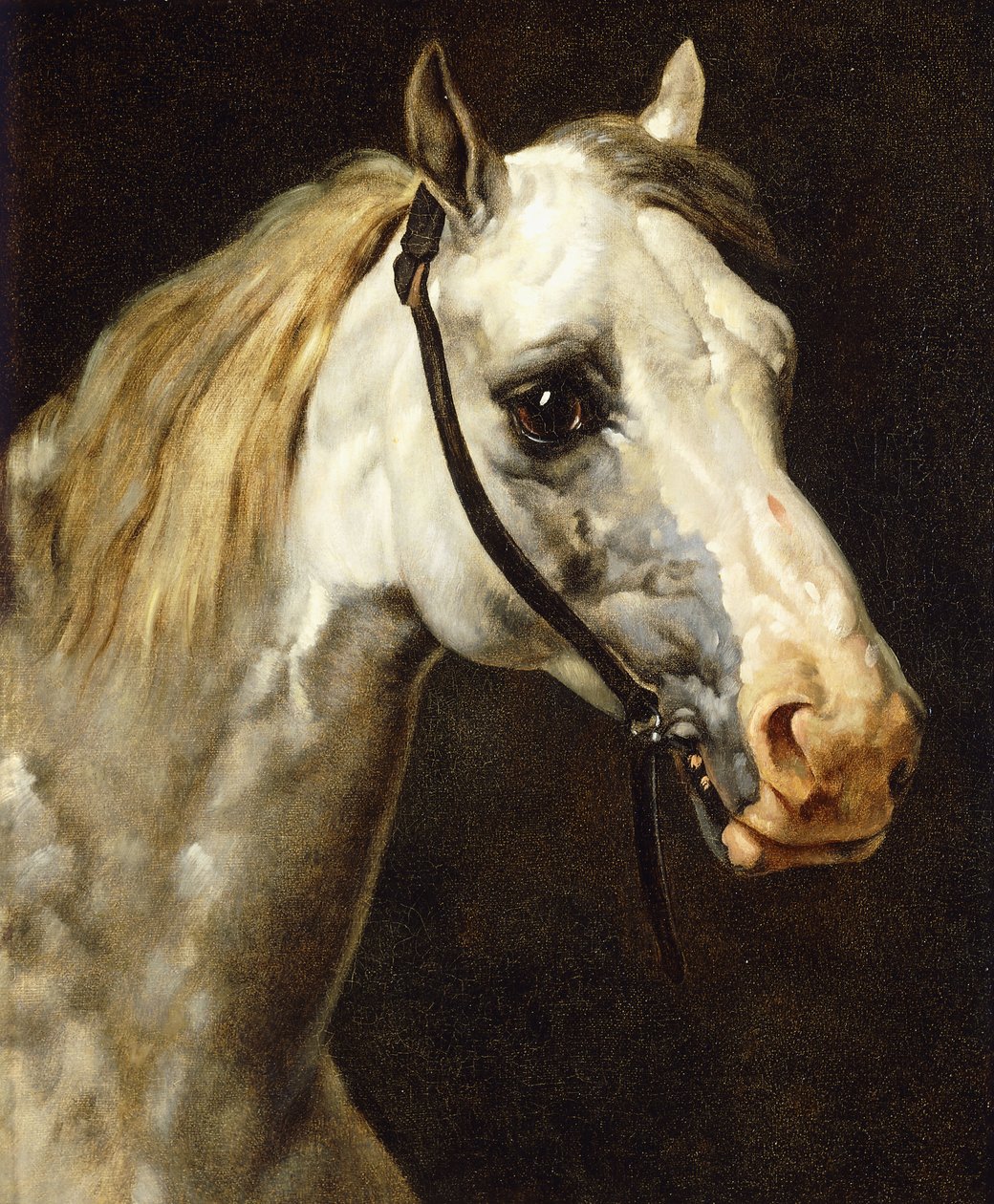 花斑马的头 作者 西奥多·杰里科（Theodore Gericault）
