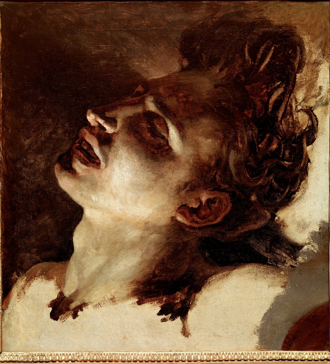 一个死去的年轻人的头 绘画作者 Jean Louis Theodore Gericault (1791-1824) 19 世纪太阳。 31x33 厘米鲁昂，美术博物馆 作者 西奥多·杰里科（Theodore Gericault）